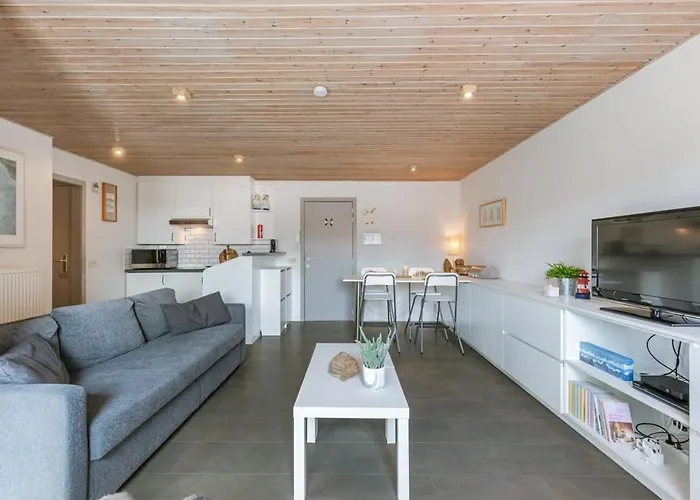 Huswell - Near The Beach With Terrace Ostend